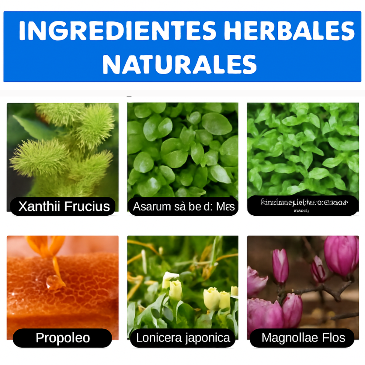 Spray Nasal Anti Ronquidos